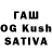 Альфа ПВП СК КРИС Rashi Ganny