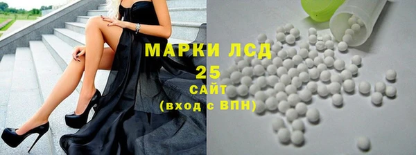 ГАЛЛЮЦИНОГЕННЫЕ ГРИБЫ Магас