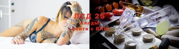 твердый Магадан