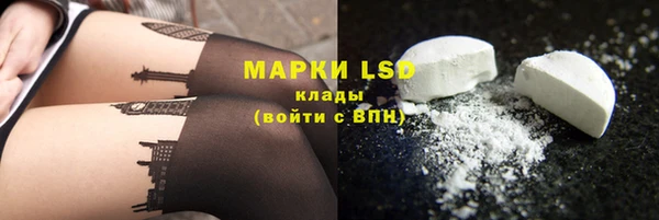 ПСИЛОЦИБИНОВЫЕ ГРИБЫ Лихославль