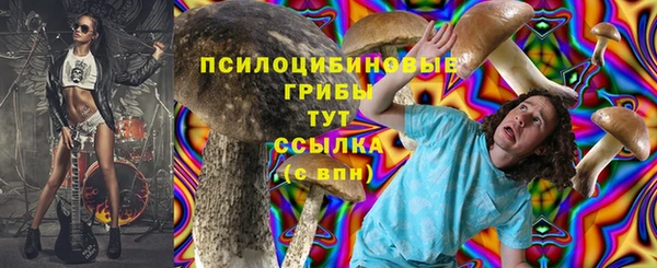 твердый Магадан