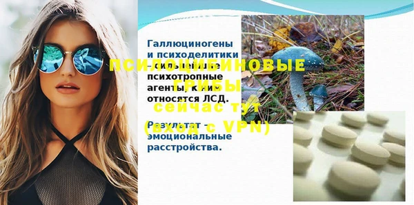 ПСИЛОЦИБИНОВЫЕ ГРИБЫ Лихославль