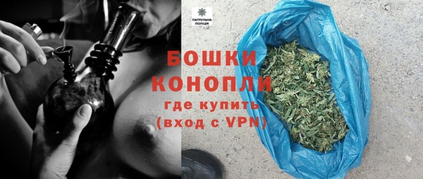 ГАЛЛЮЦИНОГЕННЫЕ ГРИБЫ Магас